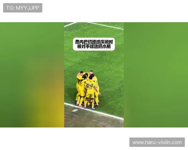 抽象迎新费内巴切球迷涂黑脸